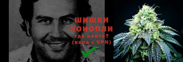 PSILOCYBIN Белокуриха