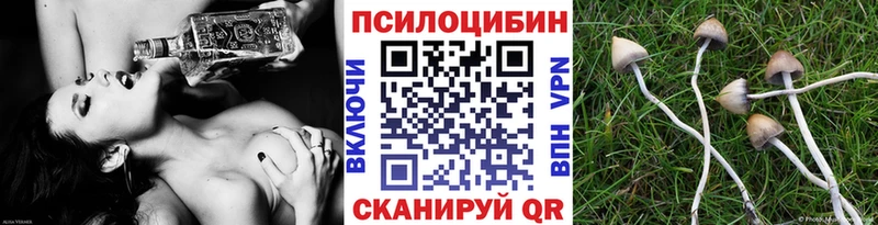 Галлюциногенные грибы мицелий  Кузнецк 