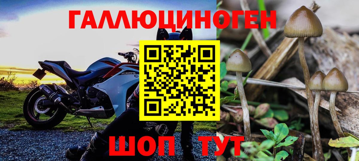 Галлюциногенные грибы ЛСД Кузнецк