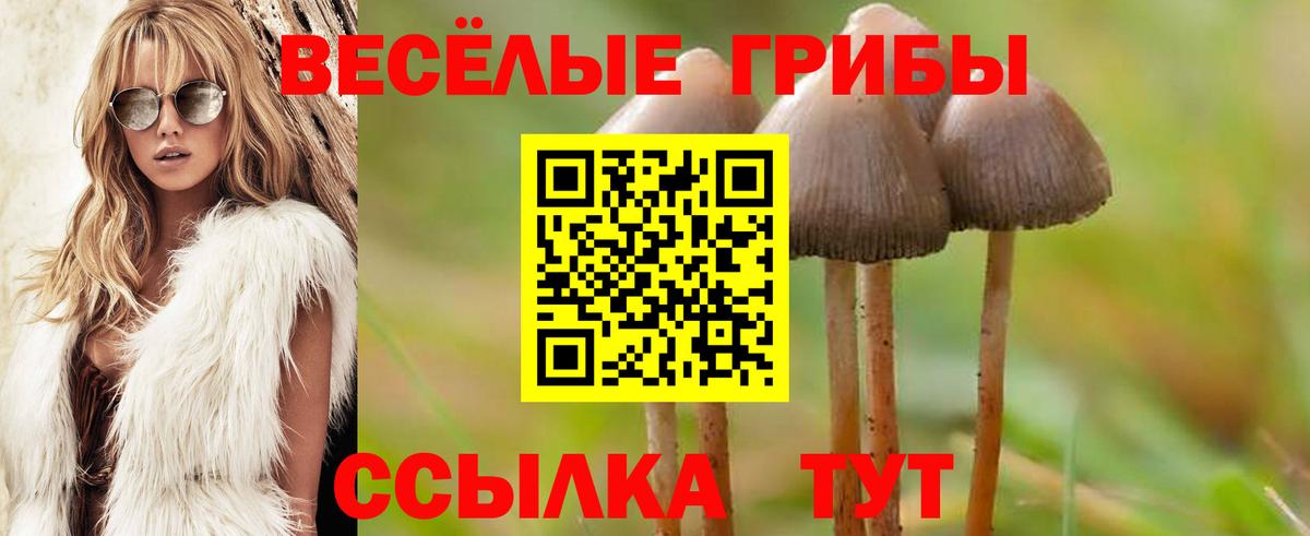 наркошоп  Псилоцибиновые грибы Psilocybine cubensis  Вход с VPN  Кузнецк  Галлюциногенные грибы Psilocybine cubensis 