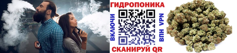 МАРИХУАНА White Widow купить наркотики сайты Кузнецк